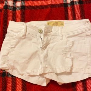 Hollister white short shorts